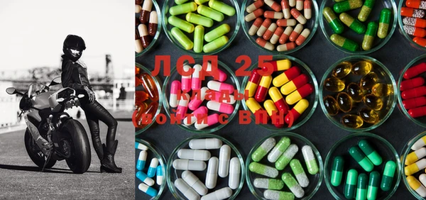 дживик Касимов