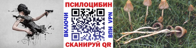 Псилоцибиновые грибы прущие грибы  Купить где  Прокопьевск 